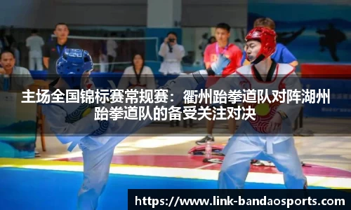 半岛体育APP